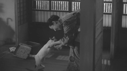 猫と庄造と二人のをんな Bild 2