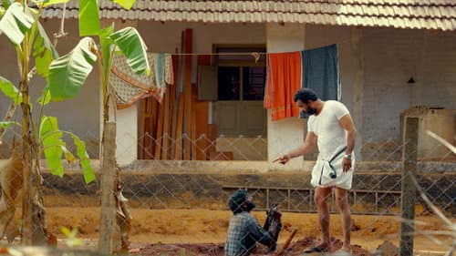 ഷെയ്ഡ്സ് ഓഫ് ലൈഫ് Bild 4