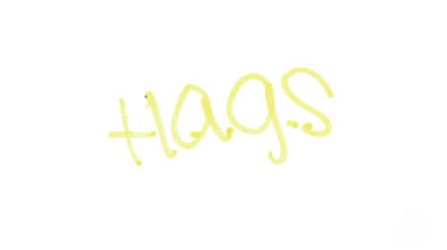 H.A.G.S. (Have a Good Summer) Bild 2