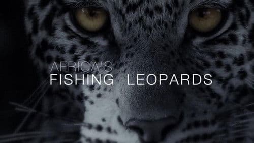 Africa's Fishing Leopards Bild 1