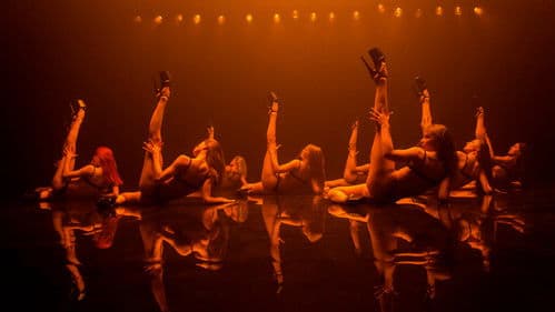 Жизнь по вызову Bild 8