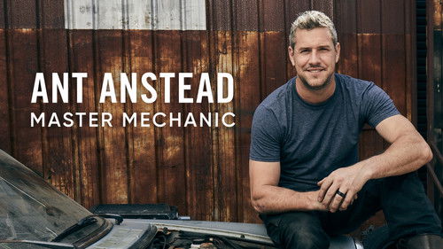 Ant Anstead Master Mechanic Bild 4