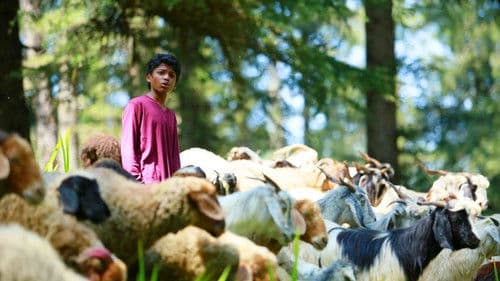 Sound of Silence Bild 2