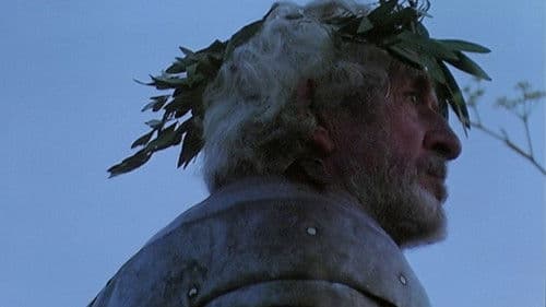 Honor de cavalleria Bild 7