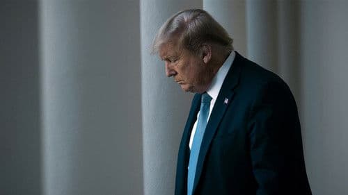 Trump's Heist: The President Who Wouldn't Lose? Bild 2