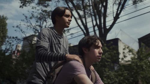 Todos los incendios Bild 3