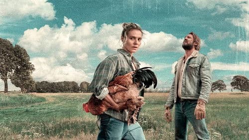 Der Ballonfahrer Bild 4