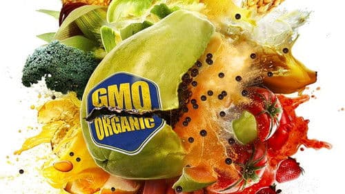 Food Evolution Bild 2