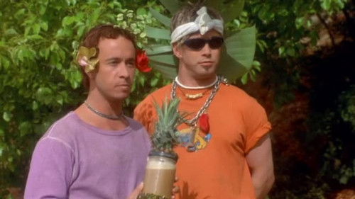 Bud und Doyle - Total Bio, garantiert schädlich Bild 8