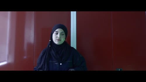 Mérou Bild 3