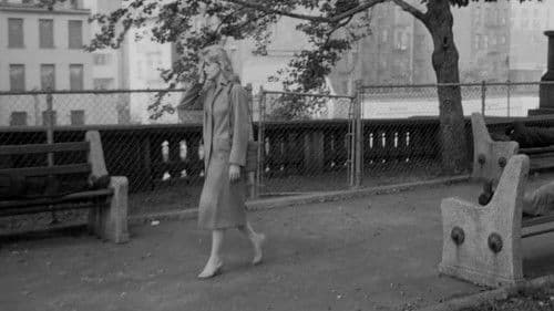 Wilde Knospen Bild 8