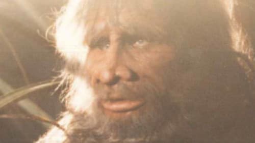 Jacaranda Joe Bild 2