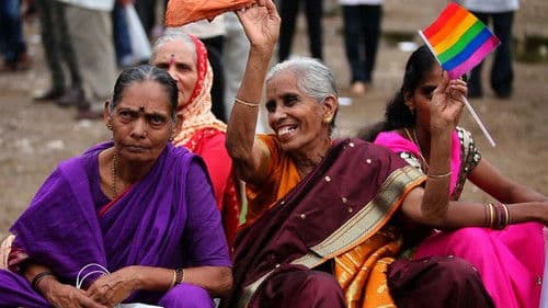 365 Without 377 Bild 1