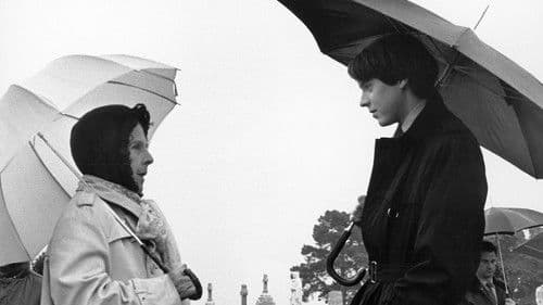 Harold und Maude Bild 3