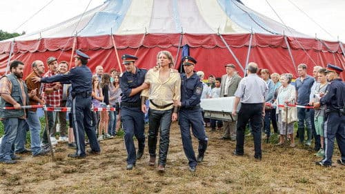 Kreuz des Südens Bild 5