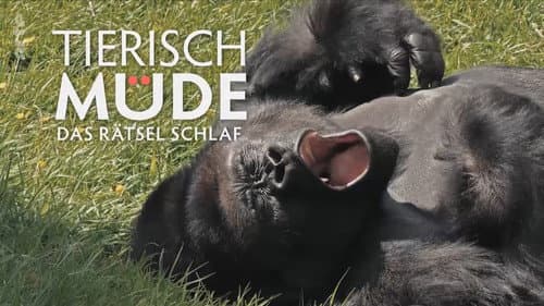 Tierisch müde - Das Rätsel Schlaf Bild 1