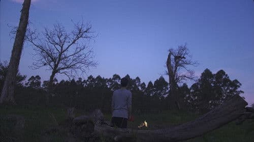 Xadrez Espelhado Bild 4