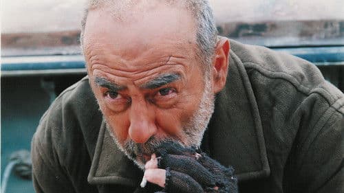 رقص در غبار‎‎ Bild 2