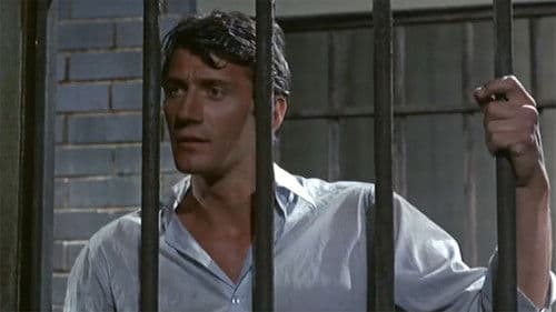 Die 7 Masken des Judoka Bild 1