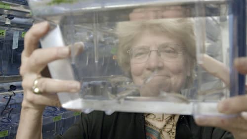 Picture a Scientist Bild 5