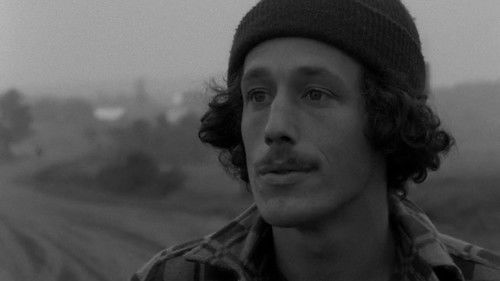 Tu brûles... tu brûles... Bild 4