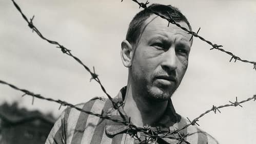 Sie nannten ihn Amigo Bild 2