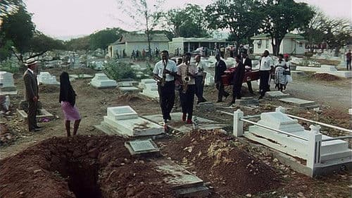 Scharfe Schüsse auf Jamaika Bild 5