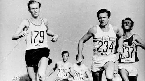 Karalienes bruņinieks Bild 1