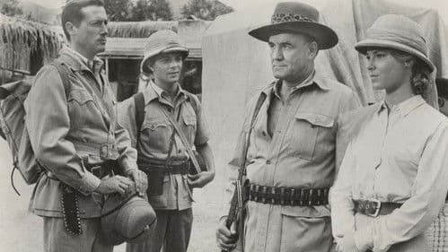 Drums of Africa Bild 1