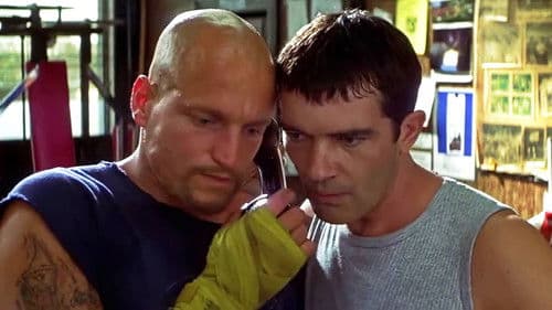 Knocked Out - Eine schlagkräftige Freundschaft Bild 2