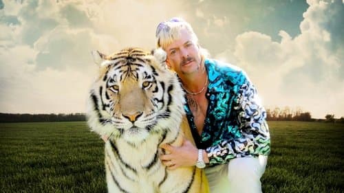 Tiger King Bild 3