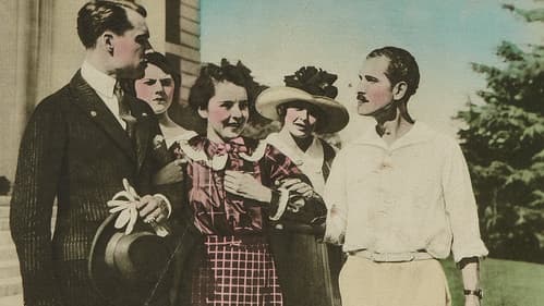 The Wall Flower Bild 1