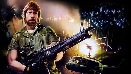 Missing in Action Bild 1