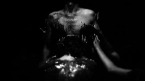 Message from Jerusalem Bild 1