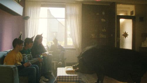 Nelson het minivarken Bild 1