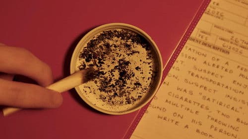 MR. SELF DESTRUCT Bild 1