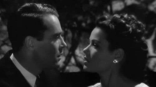 Rings on Her Fingers Bild 3