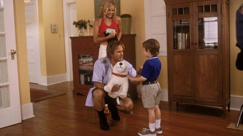 Spot - Ein Hund auf Abwegen Bild 6