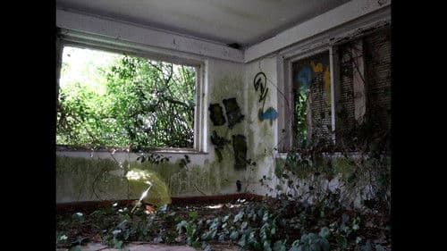 AA-PROXIMA-SUN Bild 1