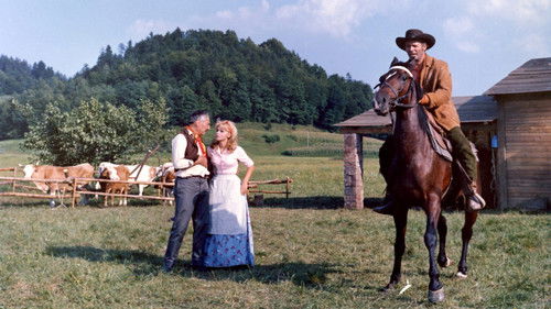 Für drei Dollar Blei Bild 1