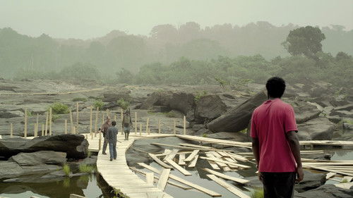 Schlafkrankheit Bild 1