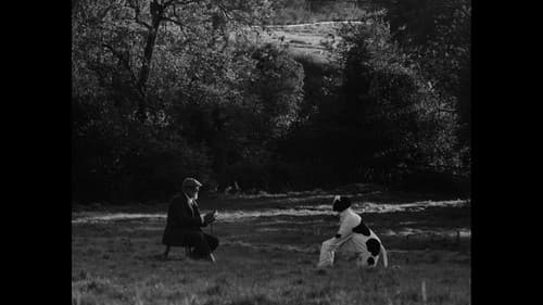 Bovine Comedy Bild 1