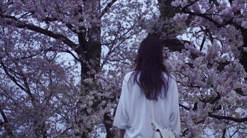 さくら、手のひら Bild 2