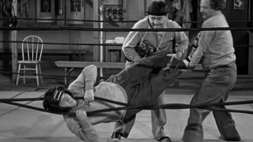 Fling in the Ring Bild 2