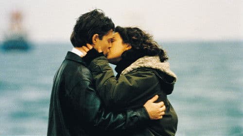 Elefanten und Gras Bild 4