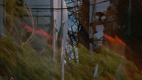 Visions in Meditation #3: Plato's Cave Bild 1