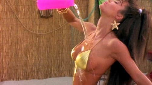 The Bikini Carwash Company Bild 6