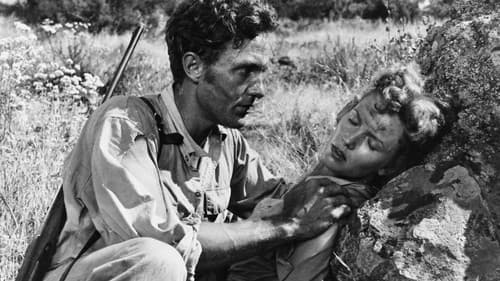 Bwana, der Teufel Bild 2