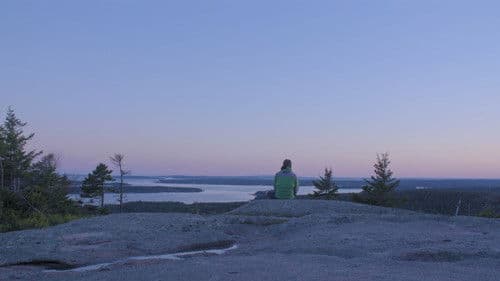 Too Cold to Swim Bild 2