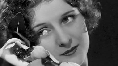 Paradise Island Bild 1